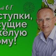 Лекции Торсунова