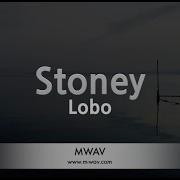 Instrumental Stones Lobo