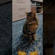 Элджей Огненный Кулак