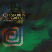 Chinchilla Green A Taste Of Times To Come