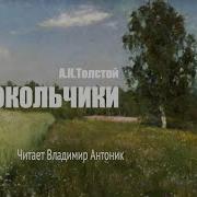 Колокольчики Мои Толстой