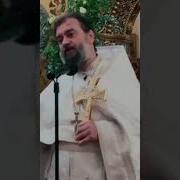 Проповеди Православные