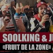 Jul Soolking Fruit De La Zone