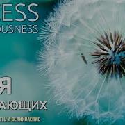 Access Consciousness На Русском