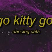 Go Kitty Go Kitty Go Kitty Ride Lyrics