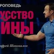 Андрей Шаповалов Искусство Войны