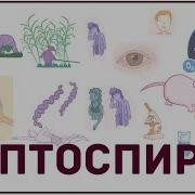 Эпизоотология