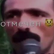 Май Девушка День Рождения Тик Ток