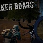 Stalker Online Boars Montage