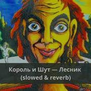 Лесник Slowed Reverb