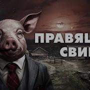 Майни Критик
