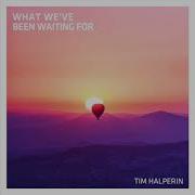 Tim Halperin What We Ve Been Waiting For