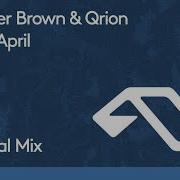 Pencer Brown Qrion Rainy April