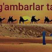 Пайгамбарлар Тарихи