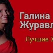 Журга Сборник