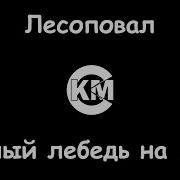 Белый Лебедь На Пруду Караоке