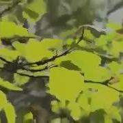Энкэйдэн Хат