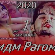 Пах Ана Репи Ошики
