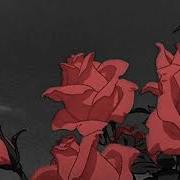 Roses Slowed