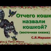 От Чего Кошку Назвали Кошкой