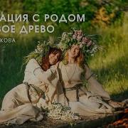 Медитации С Родом