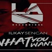 Ilkay Sencan What You Want Remix