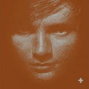 Little Bird Ed Sheeran