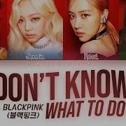 Don T Want To Do Blackpink