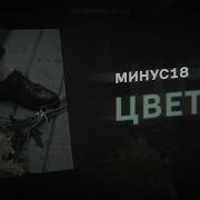 Цветы Минус18