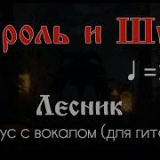 Лесник Минус Для Соло