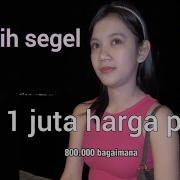 Cewek Masih Segel Open Bo