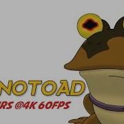 Hypno Toad 10 Hours