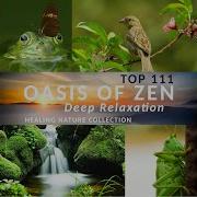 Harmony Serenity Relaxing Nature Sounds Collection