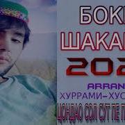 Бокир Шакаршо Цондао Сол Сут Пе Померум Навуд