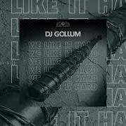 Dj Gollum We Like It Hard