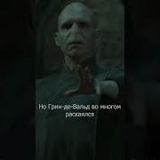 Волдеморт И Гриндевальд