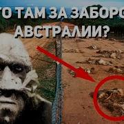 Забор Таёжные Истории Мистика