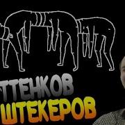 50 Оттенков Штекеров