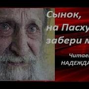 Стихи Читает Надежда Фесай