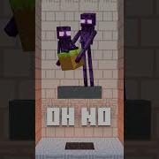 Enderman S Mutation