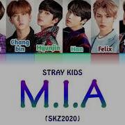 M I A Skz 2020