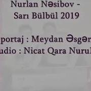 Nurlan Nesibov