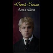 Листья Падают С Неба