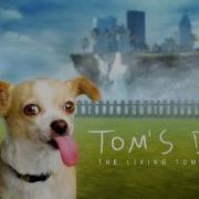 Song Tom S Dog Tom S Dog Meme Song