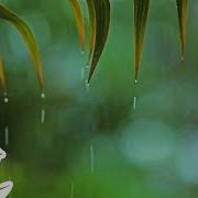 Relaxing Sleep Music Rain Sounds Meditation Music Deep Sleep Instantly With Soft Rain