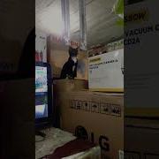 Cat Bogi