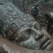 Васе О Жизни Биологический Уровень