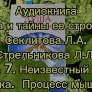 Аудиокнига Секлитовой Беседы О Неизвестном