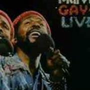 Jan Marvin Gaye