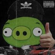 1 Hour Bad Piggies X Павапепе Гемабоди Мэшап Phonk